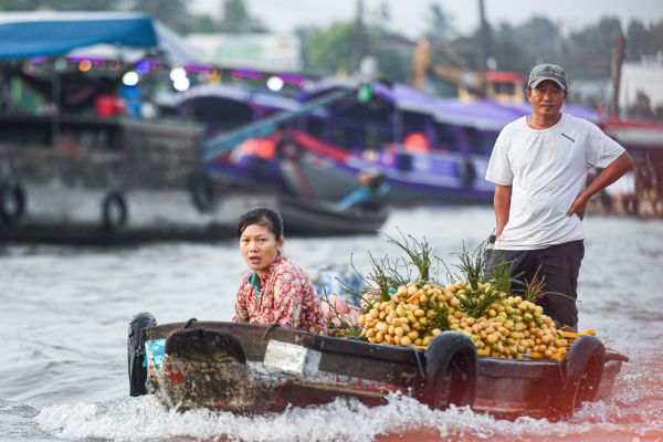 דלתת המקונג