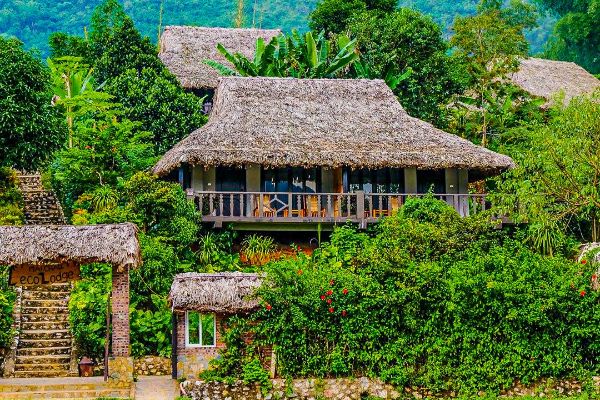 אקולודג' מאו צ'או