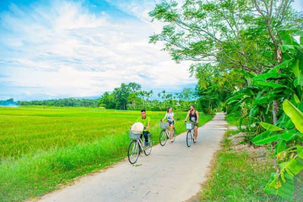 רכיבה על אופניים בטוי ביו