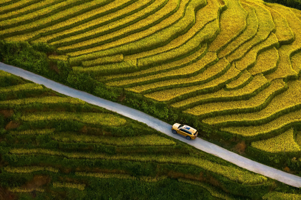 סאפה - טרק החלומות שלי