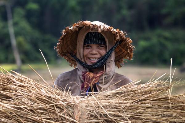 טיול מאורגן בדרום מזרח אסיה